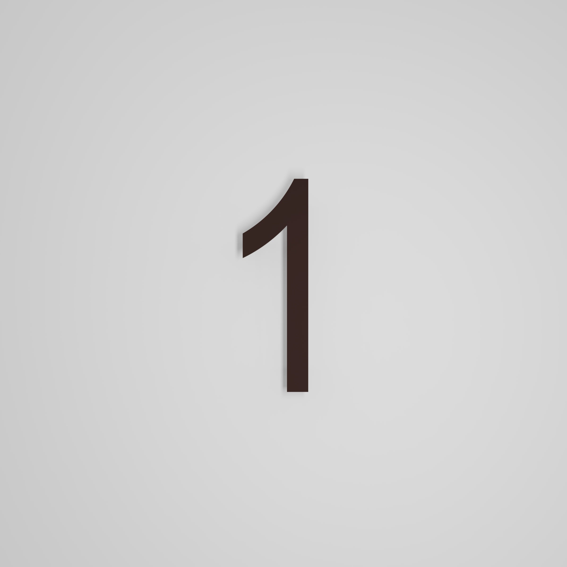 8 inch Floating Address Numbers