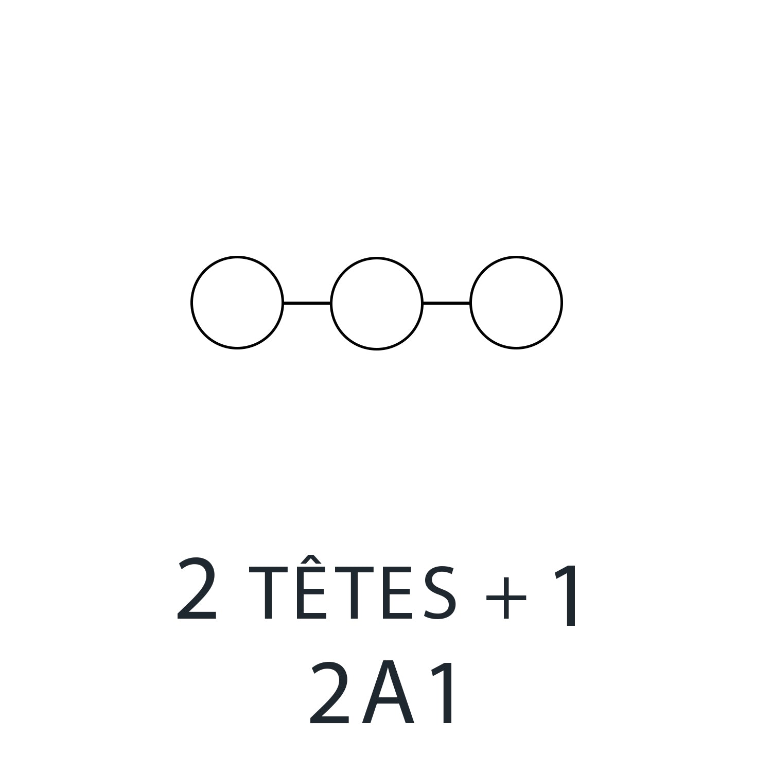 Deux têtes et une central