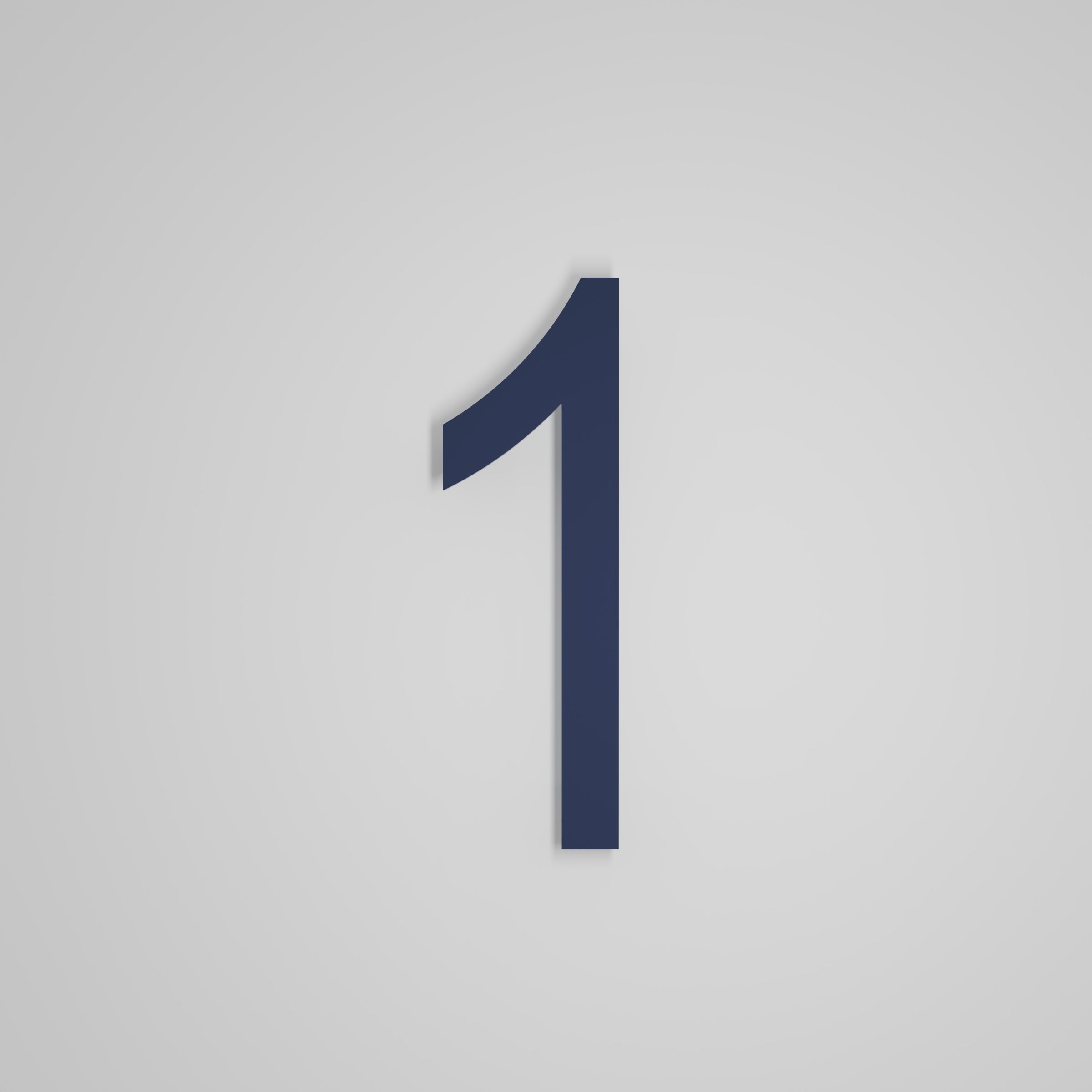 12 inch Floating Address Numbers