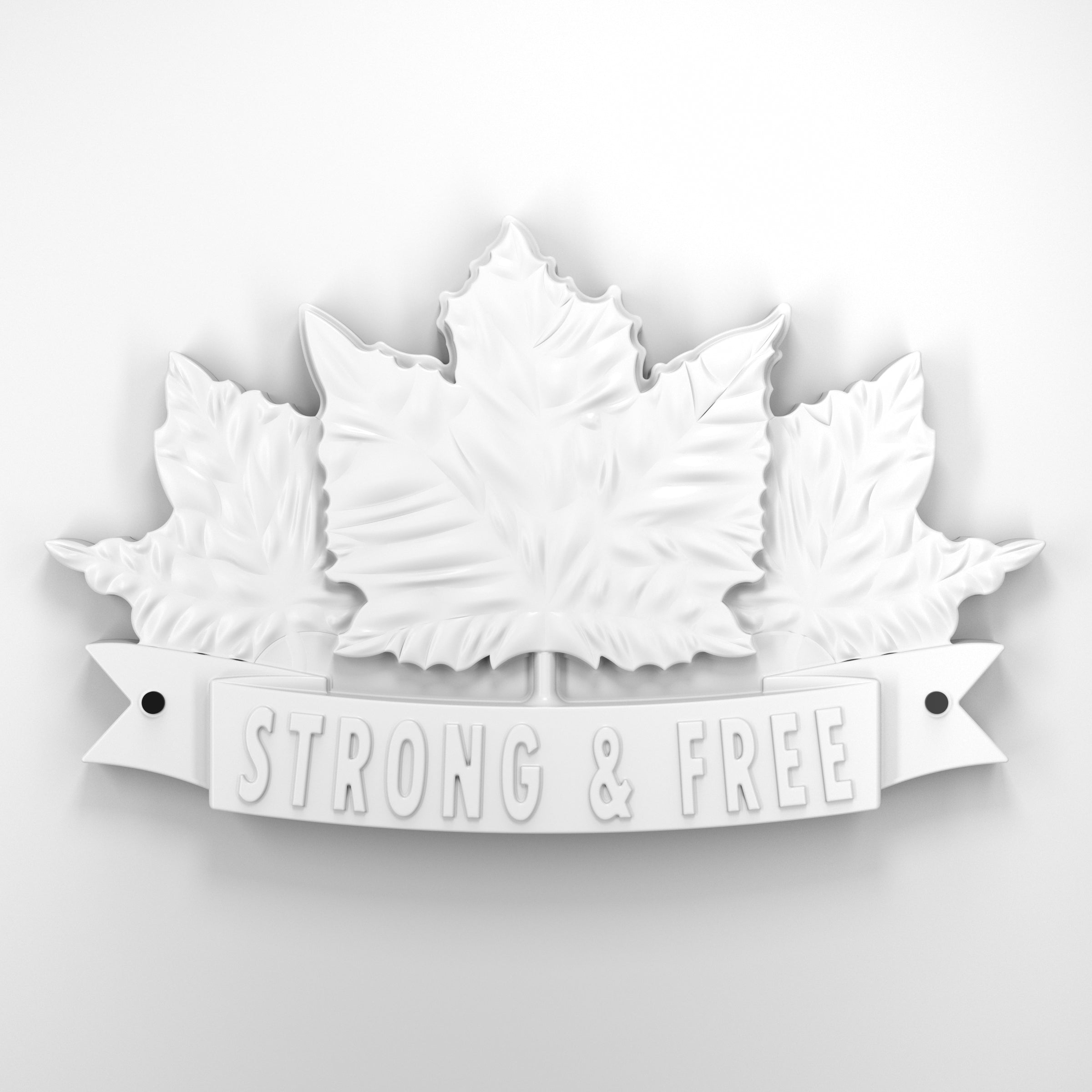 Strong and free • Plaque [1729]