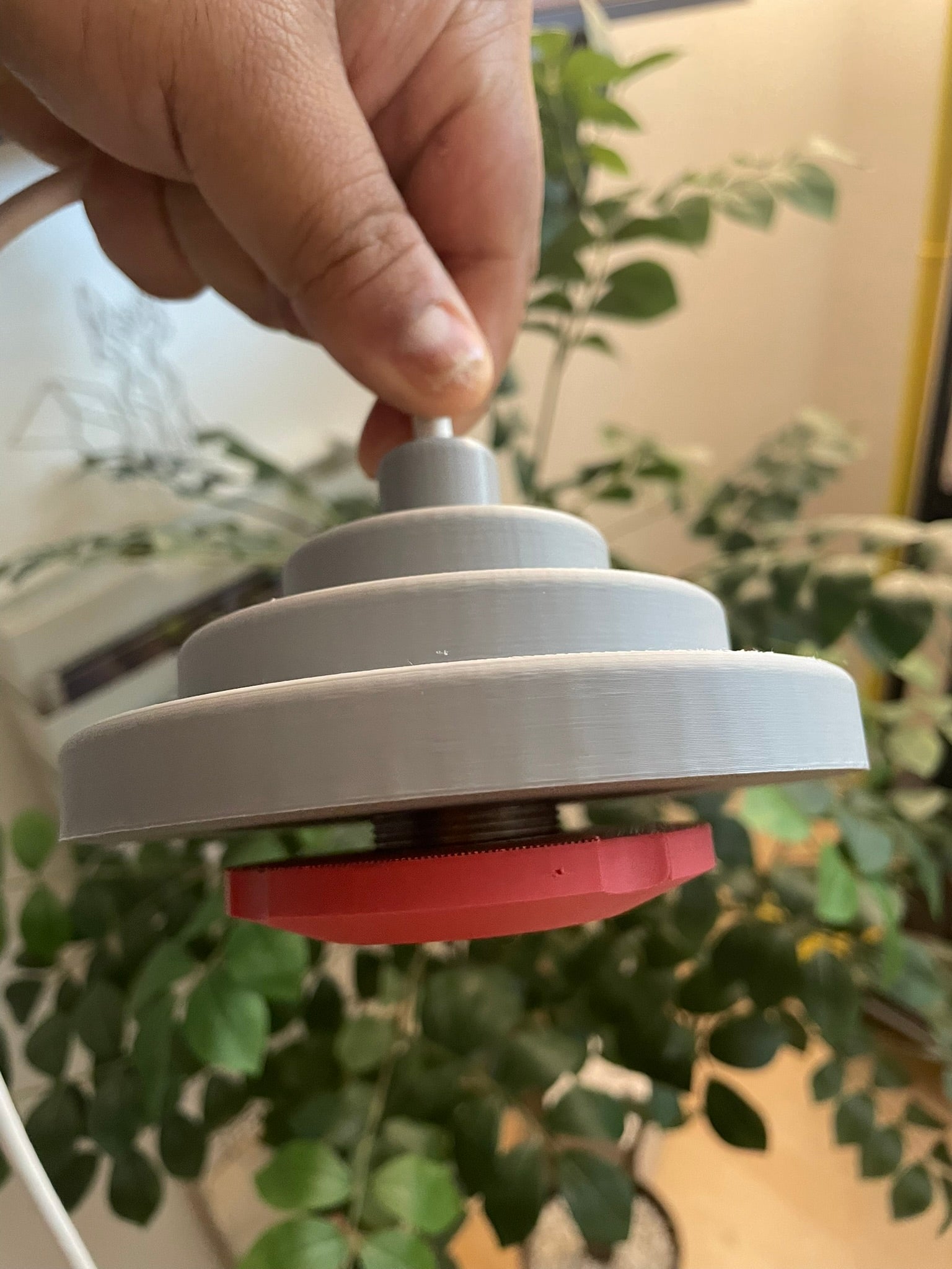 ECHO / Suspension